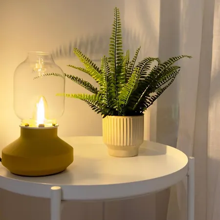 Appartement Acogedor Apartamento De Dos Dormitorios A 50 Metros Del Mar Y A 5 Minutos Al Aeropuerto Tenerife Sur *